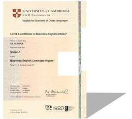 bec高级口试视频，bec高级口试第二部分