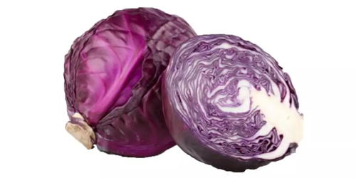 cabbage的中文意思是什么 cabbage的中文意思是什么