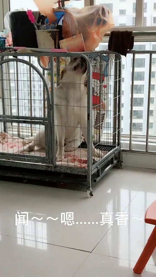 派出所蹲小号啥意思