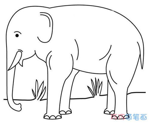 一只大象怎么画