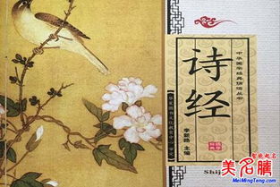 女宝姓王名字大全