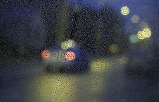 朦胧的什么意思，朦胧的什么有朦胧的美