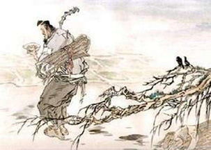 悯农 古诗?