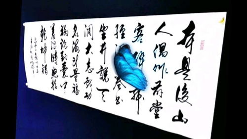 自嘲古诗原文合集，自嘲古诗拼音版鲁迅