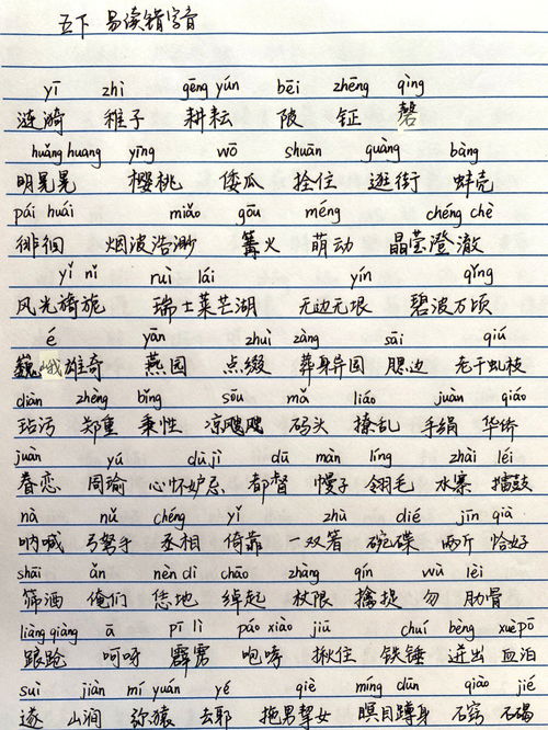 “表”字组词有哪些?