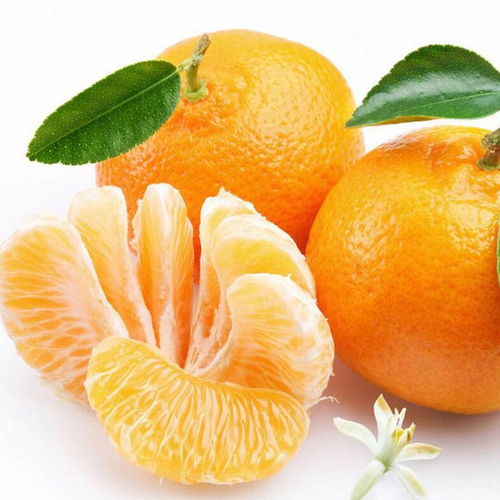 橘子的英文单词，橘子的英文缩写