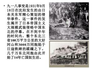 土地的誓言作者