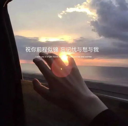 容易上热门的封面句子图片，100%能上热门的句子