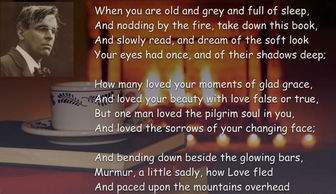 共同用英语怎么说