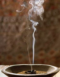 龙脑是什么东西