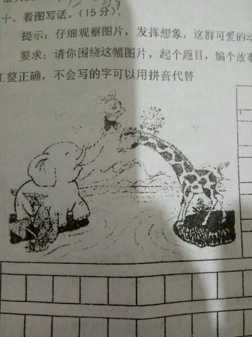小兔过河看图写话作文