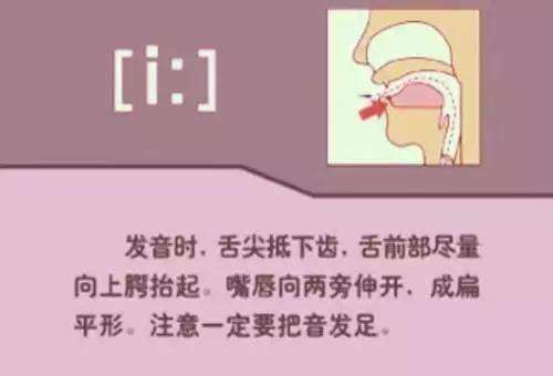 姿势拼音是什么