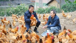堂单上用标,扫堂,串堂,报马,护身吗