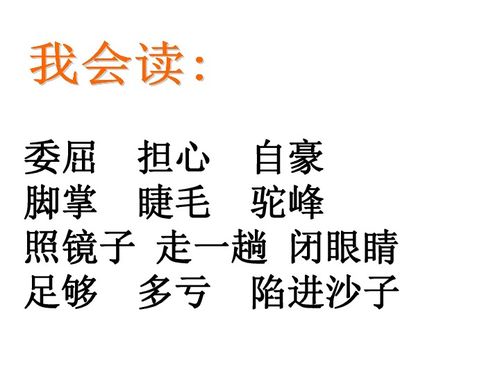 《我应该感到自豪才对》讲了什么告诉人们什么