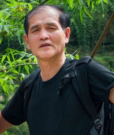 孝心不能等剧情介绍