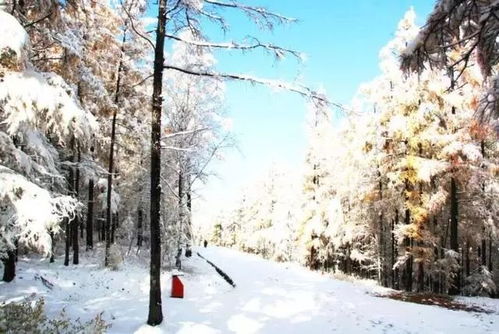 初晴游沧浪亭古诗拼音，初晴后雨