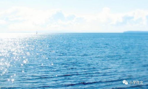 大海的描写优美段落