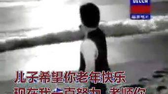 莆田话翻译器在线翻译，莆田话骂人口头禅