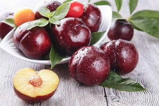 李子的英语怎么读