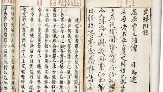 报马仔，报马子树学名