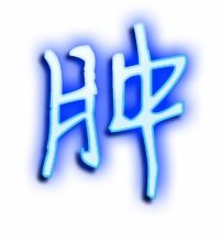 肚的组词二年级上册，肥的组词