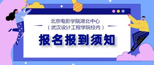 高考艺术生可以报哪些专业