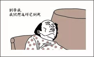 “自诩”的读音是什么?