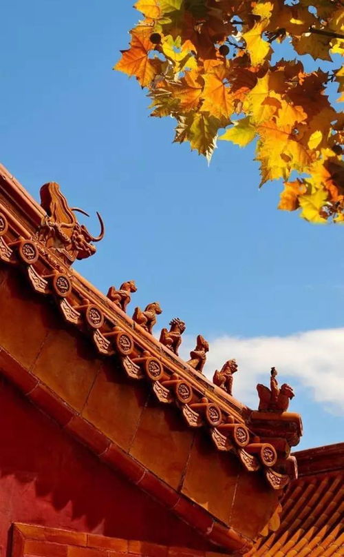 春种一粒粟拼音秋收万颗子，春种一粒粟拼音的一是几声?