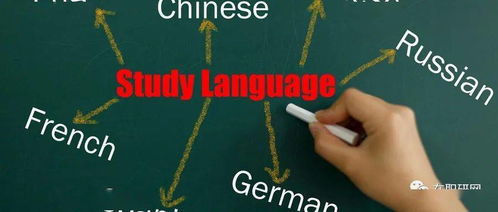 (淘汰)的英语单词是?