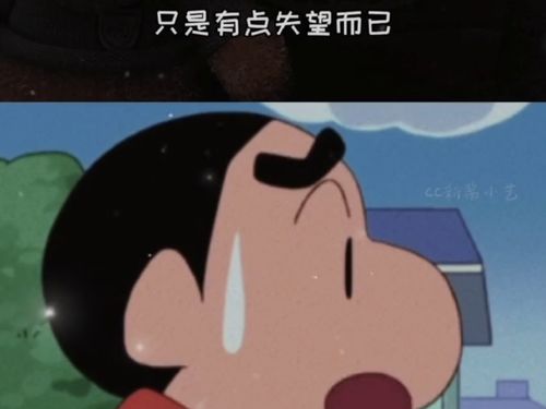 仅此而已的意思，食不重肉妻子衣食仅自足而已的意思