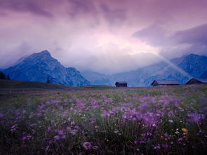 心中的美景作文450字