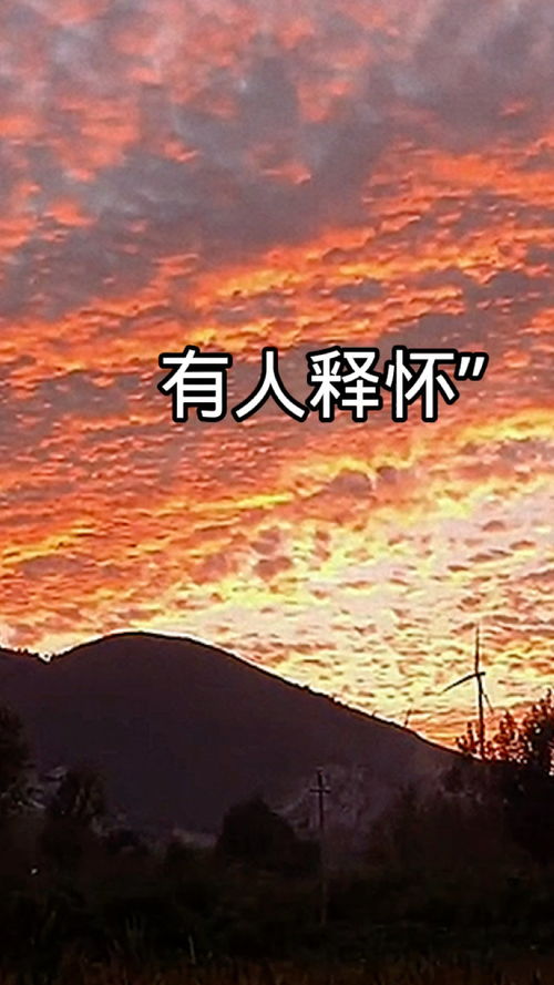 都说只因人在风中,聚散不由你我。请问是什么解释?