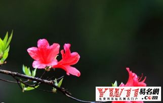 鼓舞人心的英文歌曲，鼓舞人心的英文怎么说