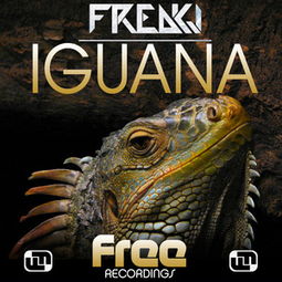 iguana是变色龙吗，iguana什么意思中文