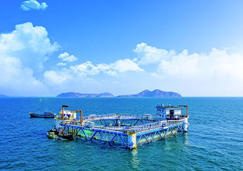 扫黑风暴中的老海是谁呢?