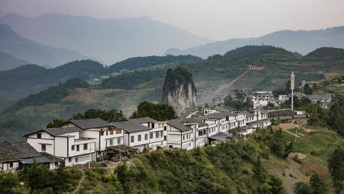贵州省遵义市道真县属于哪个市哪个区