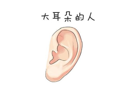 一个大一个耳是什么字，一个大一个耳念什么字