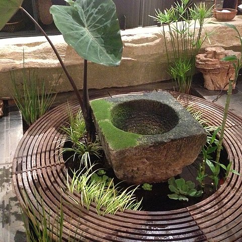 "plant"的过去式是什么?