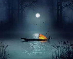 三五之夜明月半墙的三五指的是什么意思，三五之夜,明月半墙,桂影斑驳,风移影动,珊珊可爱翻译