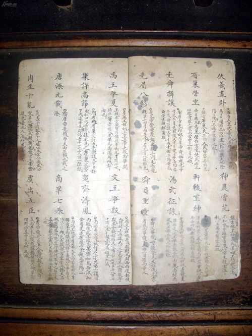 侯子能组哪些词语?