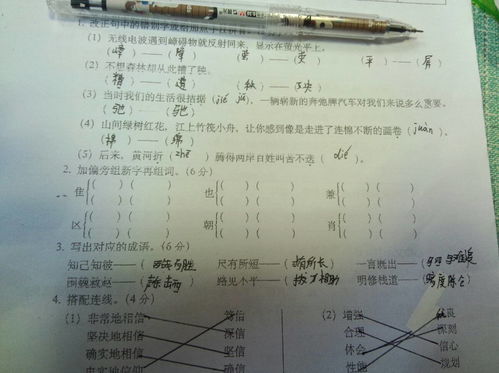 适怎么组词，告怎么组词一年级