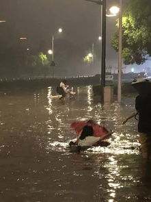 听雨声很治愈的句子，听雨声的心情说说