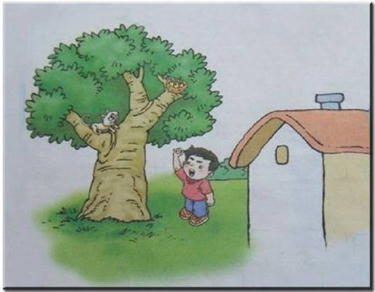 关于树的成语。