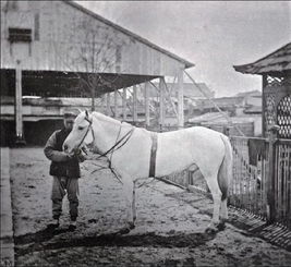 马夫的解释马夫的解释是什么