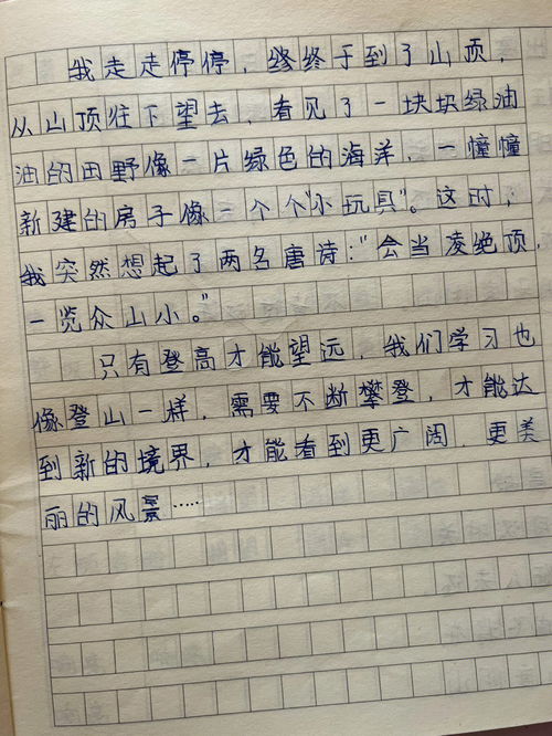 爬山作文600字初三作文，坚持爬山作文600字
