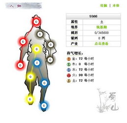 人体的十二条经络是?