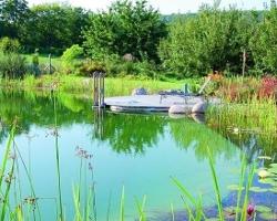 池沼是什么意思，池沼与河流