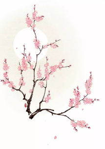 杏花古诗十首三年级，杏花古诗三年级下册