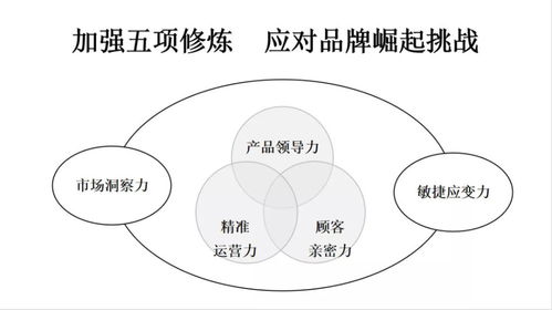 课题是什么意思