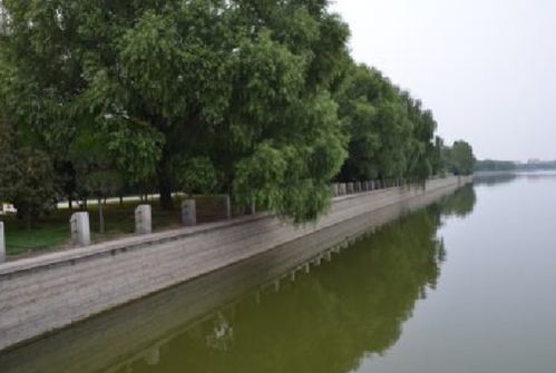 堤岸的意思